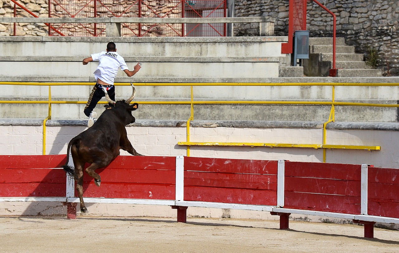 习与休闲