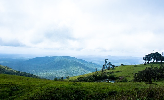 寶貴的試驗 寶貴的試驗