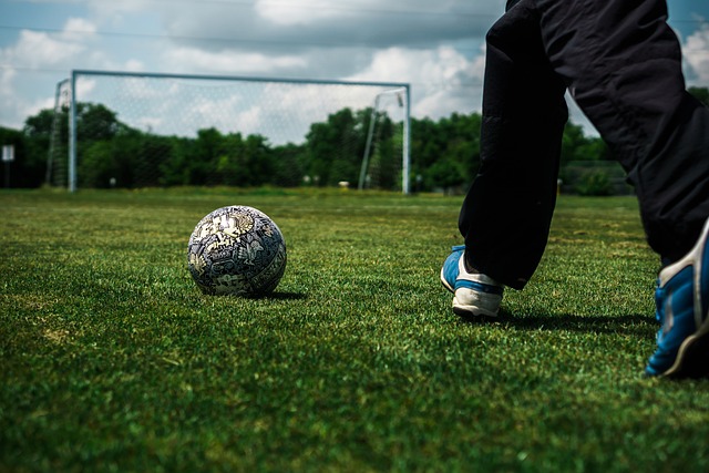 动的新锐力 动的新锐力