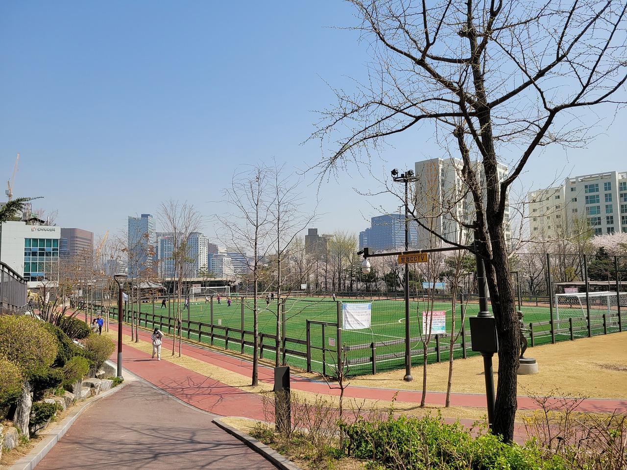 詹姆斯与安 詹姆斯与安