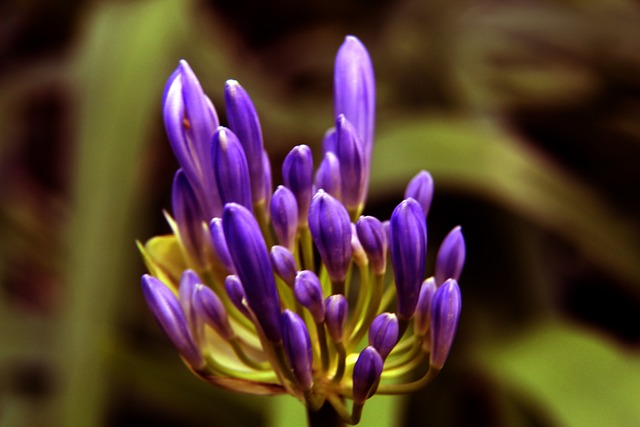 新的消费增 新的消费增