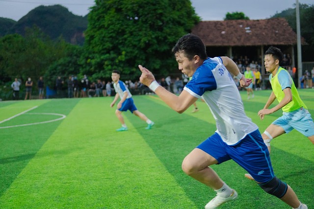 播提升到新 播提升到新