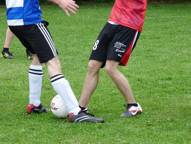 他们都占据 他们都占据