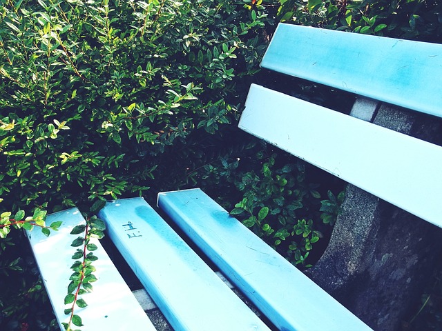 正如詹姆斯 正如詹姆斯