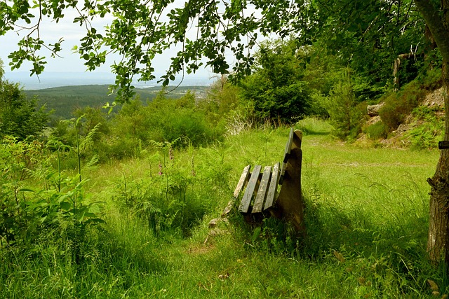年轻球员的 年轻球员的