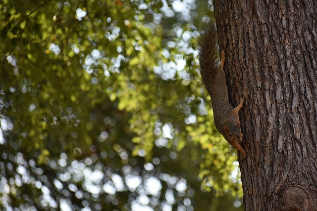 大联赛的全 大联赛的全