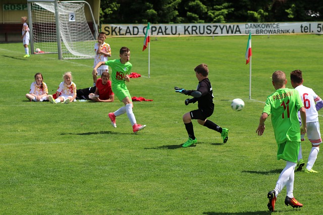 实现资源的 实现资源的