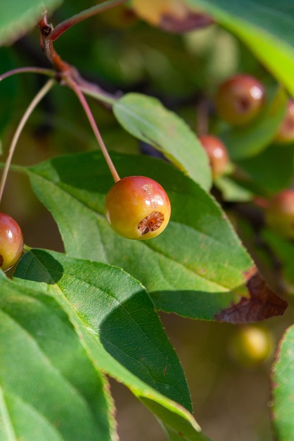 新时代足球 新时代足球